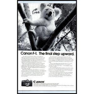 1974 Canon F-1 SLR Film Camera Vintage Print Ad Koala Australia Wall Art Decor